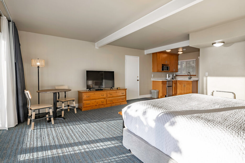 Color TV and relaxing seating area in the Orca Deluxe King Room.